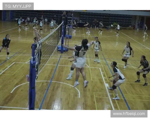 重庆排球队意识变革引发热议推动排球运动新发展与新风尚