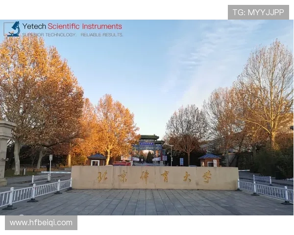 北京排球队耐力训练的秘密与挑战探讨