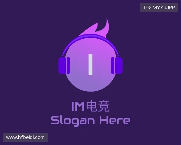 关于&#x49;&#x4d;&#x7535;&#x7ade;